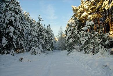 PSN曝光《超越善恶》20周年纪念版即将发布